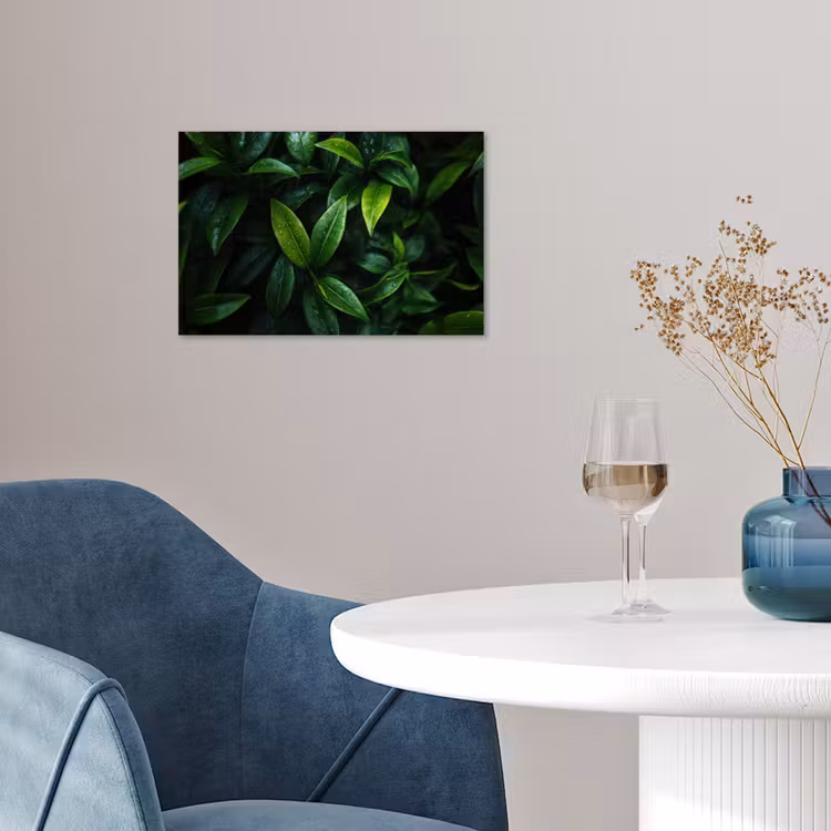 Poster - Bladeren - Regendruppels - Licht - Groen — 4