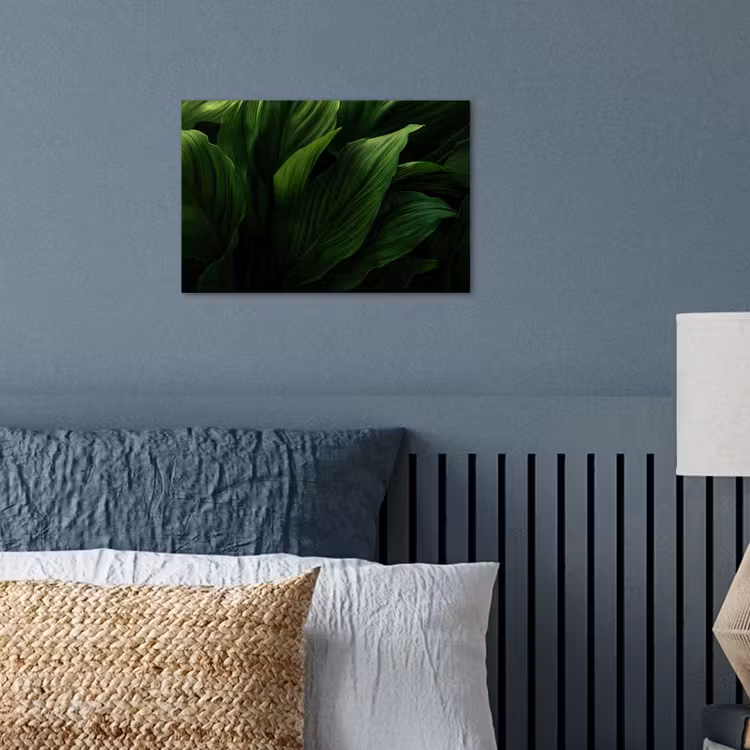Poster - Bladeren - Schaduw - Groen - Textuur — 3