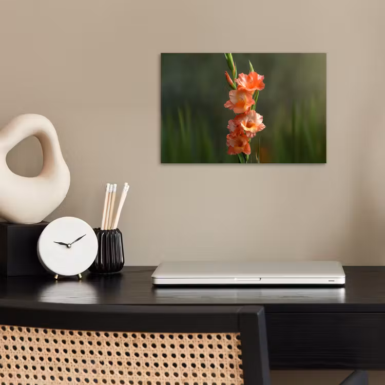 Poster - Bloem - Gladiolen - Zalmroze — 2
