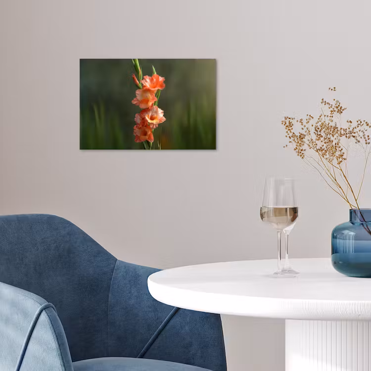 Poster - Bloem - Gladiolen - Zalmroze — 4