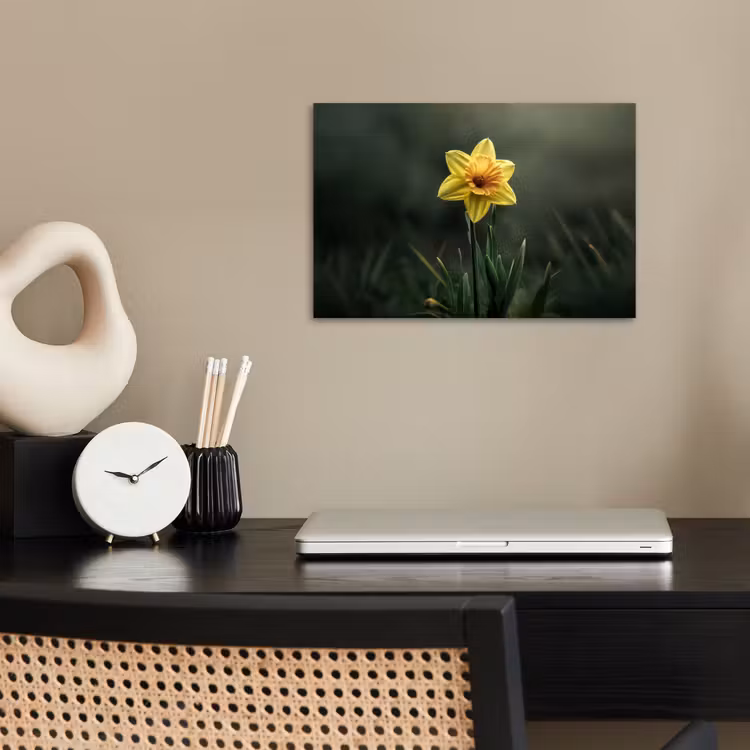 Poster - Bloem - Narcis - Gras - Geel — 2