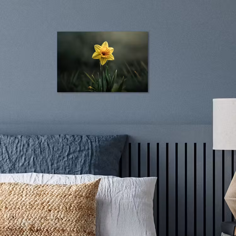 Poster - Bloem - Narcis - Gras - Geel — 3