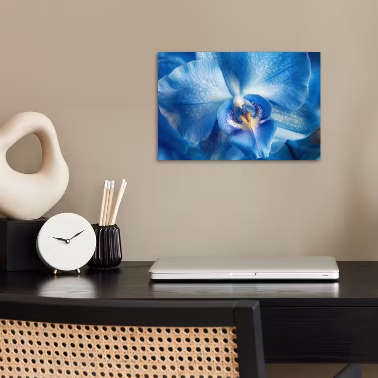 Poster - Blauw - Orchidee - Elegeant — 2