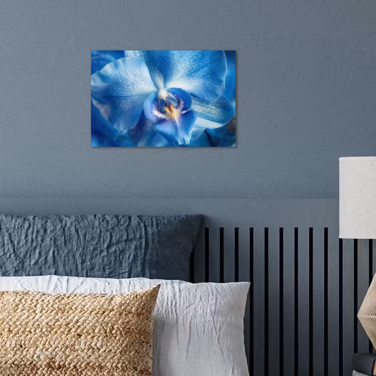 Poster - Blauw - Orchidee - Elegeant — 3
