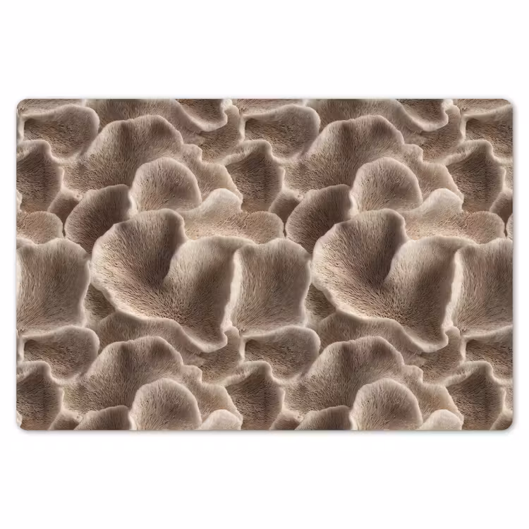 Placemat - 6 stuks - Waaiervorm - Beige - Vezel textuur — 7