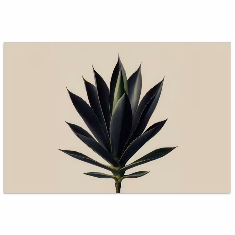 Poster - Agaveplant - Symmetrisch - Groen — 1