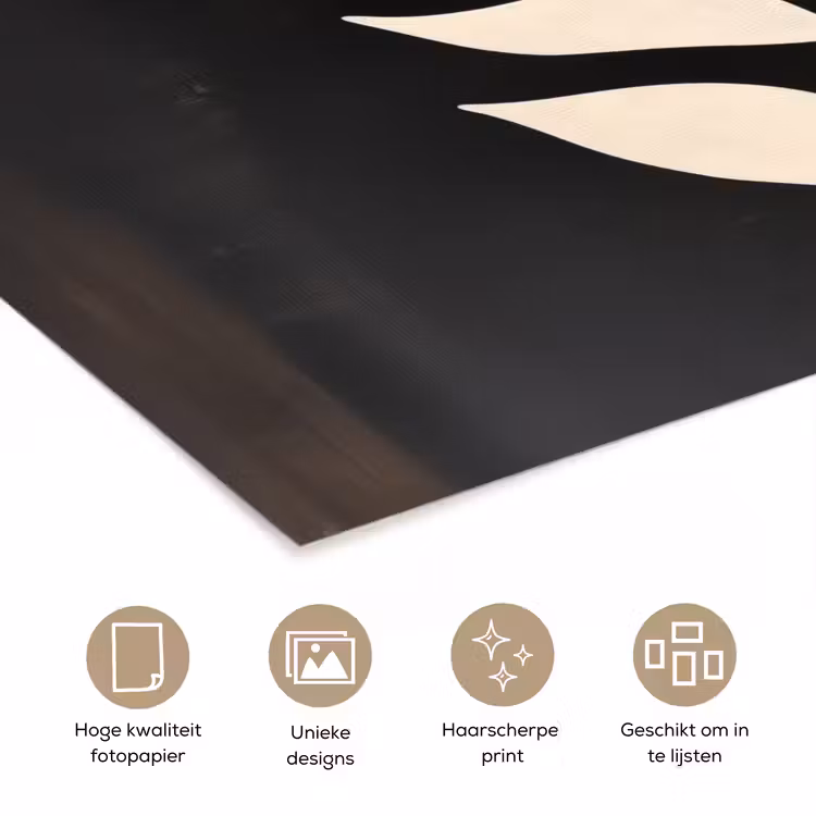Poster - Blad - Wit - Minimalistisch — 5
