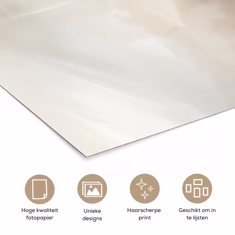 Poster - Bloem - Beige - Verf - Schaduw — 5