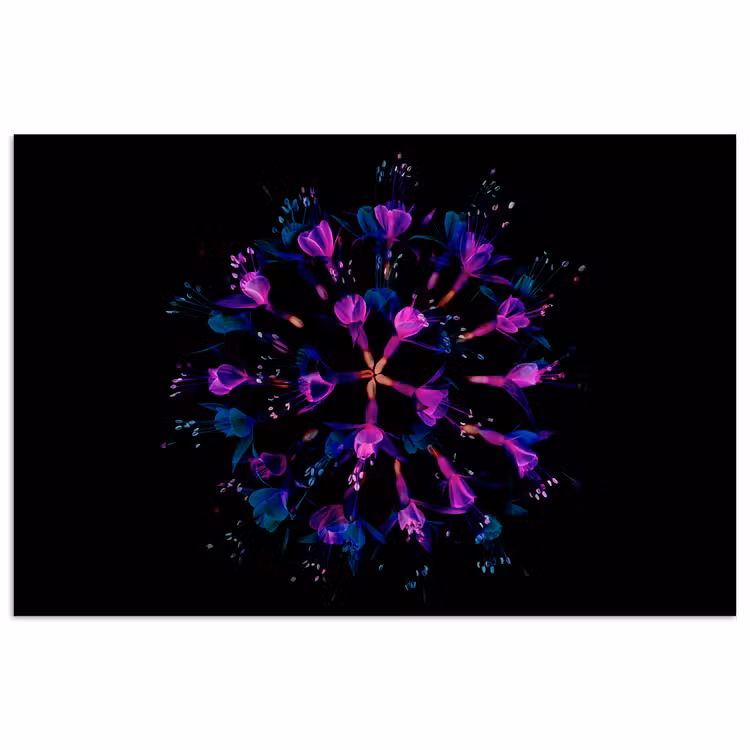 Poster - Bloem - Paars - Blauw - Macro - Zwart — 1