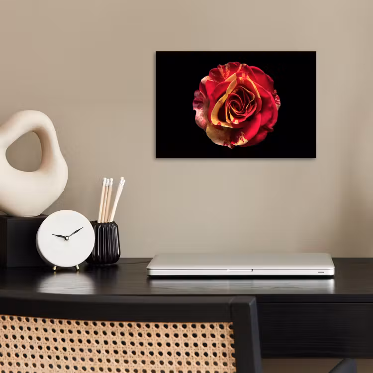 Poster - Bloem - Roos - Rood - Zwart — 2