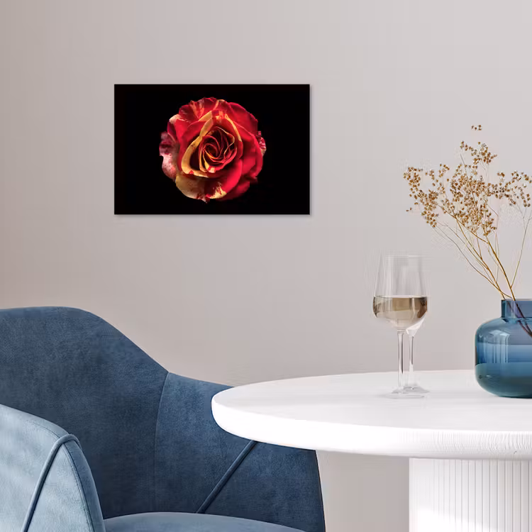Poster - Bloem - Roos - Rood - Zwart — 4