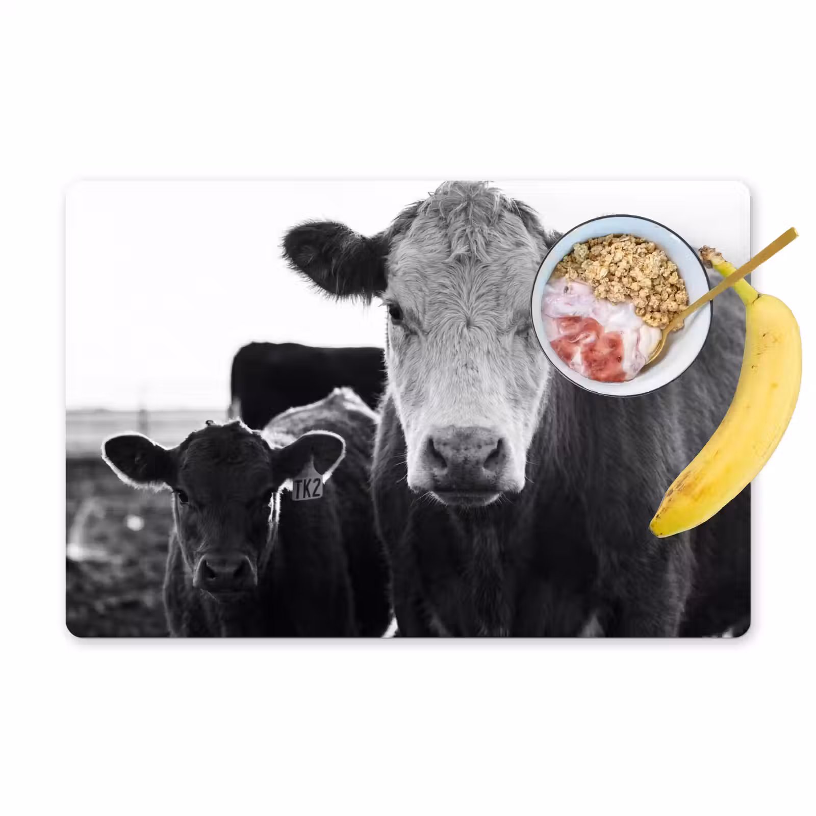 Placemat - 6 stuks - Koeien - Zwart - Wit — 1