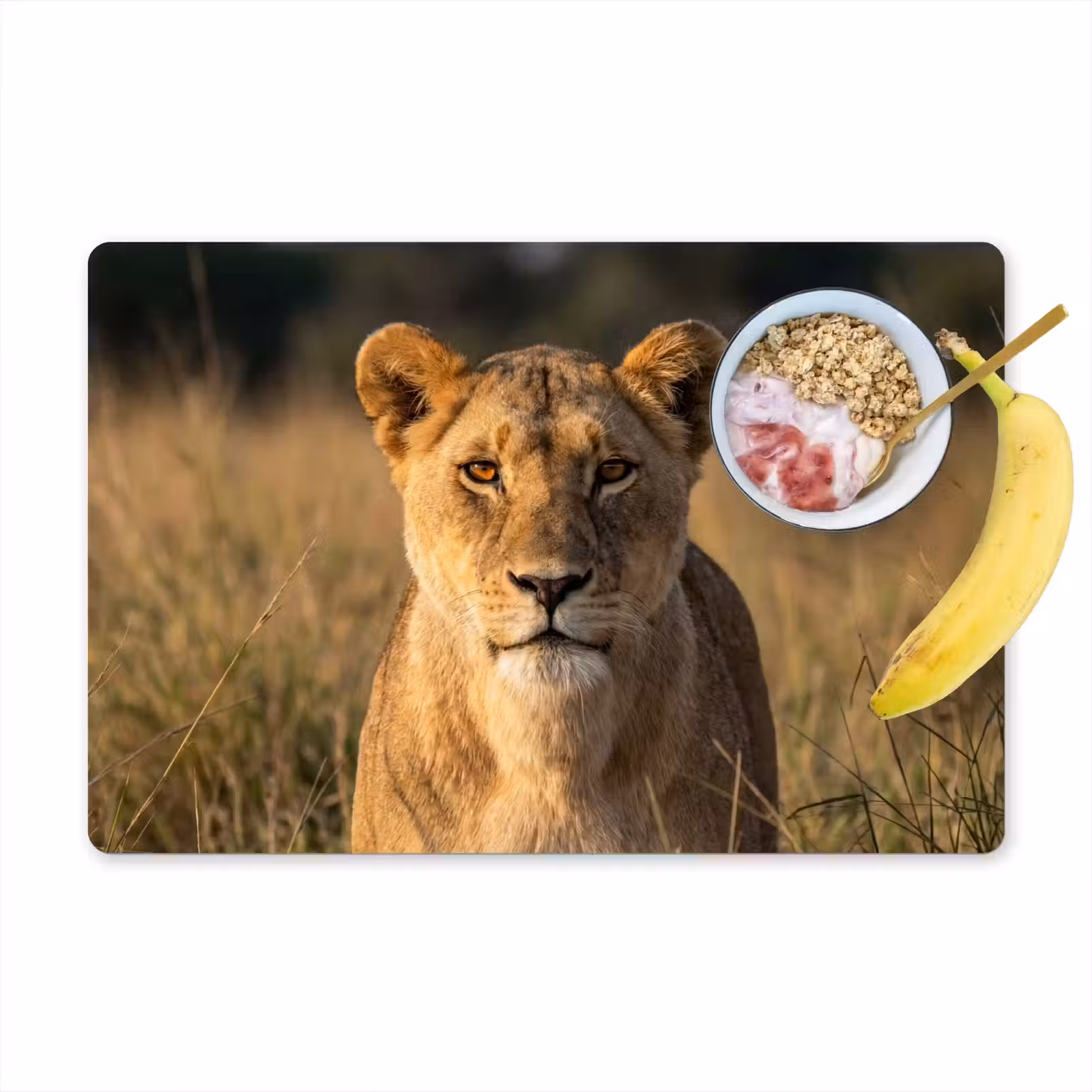 Placemat - 6 stuks - Leeuwin - Gras - Geel — 1