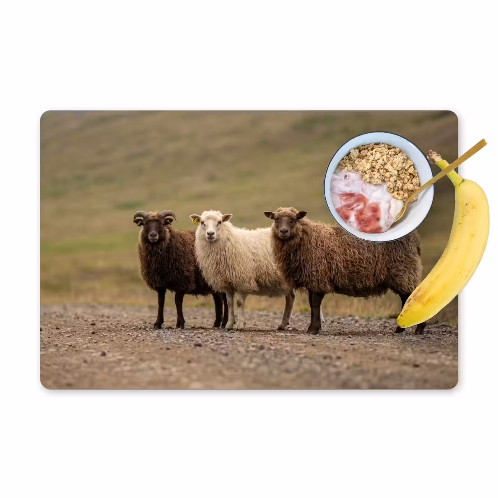 Placemat - 6 stuks - Schapen - Bruin - Wit - Grindpad — 1