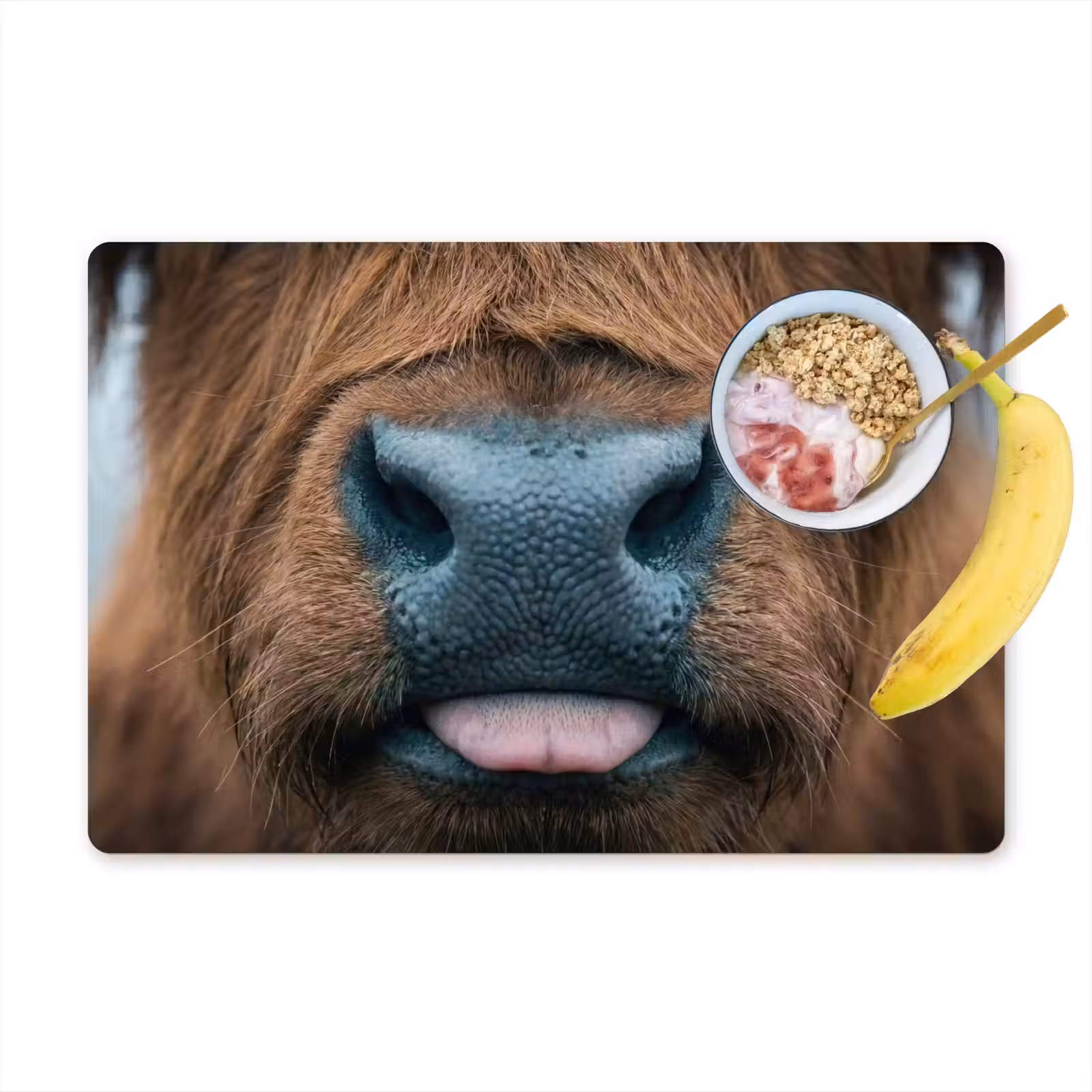 Placemat - 6 stuks - Schotse hooglander - Neus - Bruin — 1