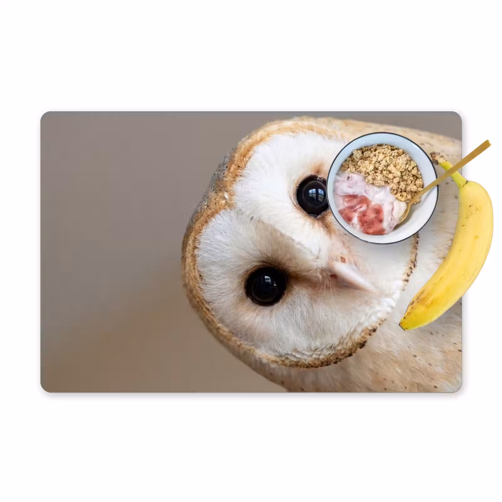 Placemat - 6 stuks - Uil - Bruin - Wit — 1