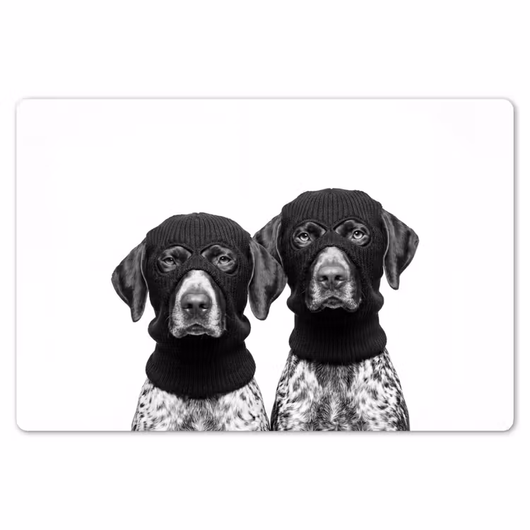 Placemat - 6 stuks - Honden - Bivakmuts - Zwart - wit — 7
