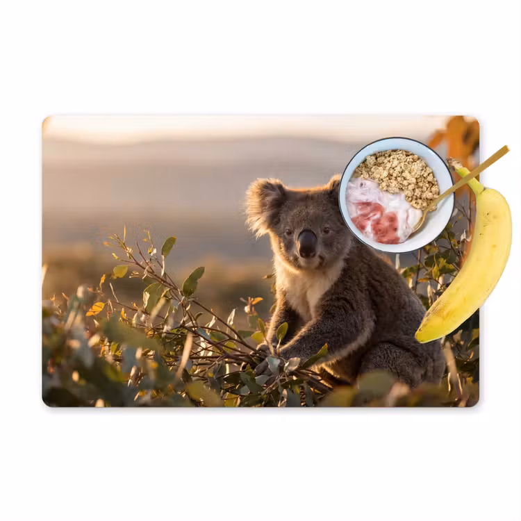 Placemat - 6 stuks - Koala - Bladeren - Ochtendlicht — 1