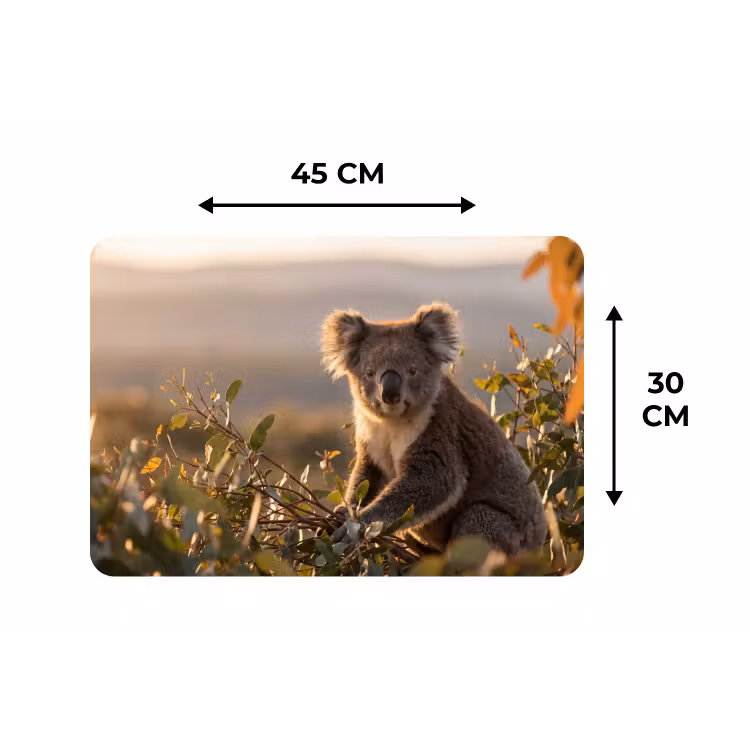 Placemat - 6 stuks - Koala - Bladeren - Ochtendlicht — 3