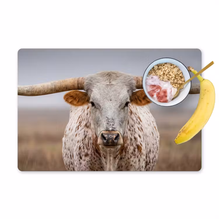 Placemat - 6 stuks - Longhorn - Grasveld - Dier — 1