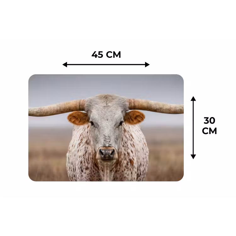 Placemat - 6 stuks - Longhorn - Grasveld - Dier — 3