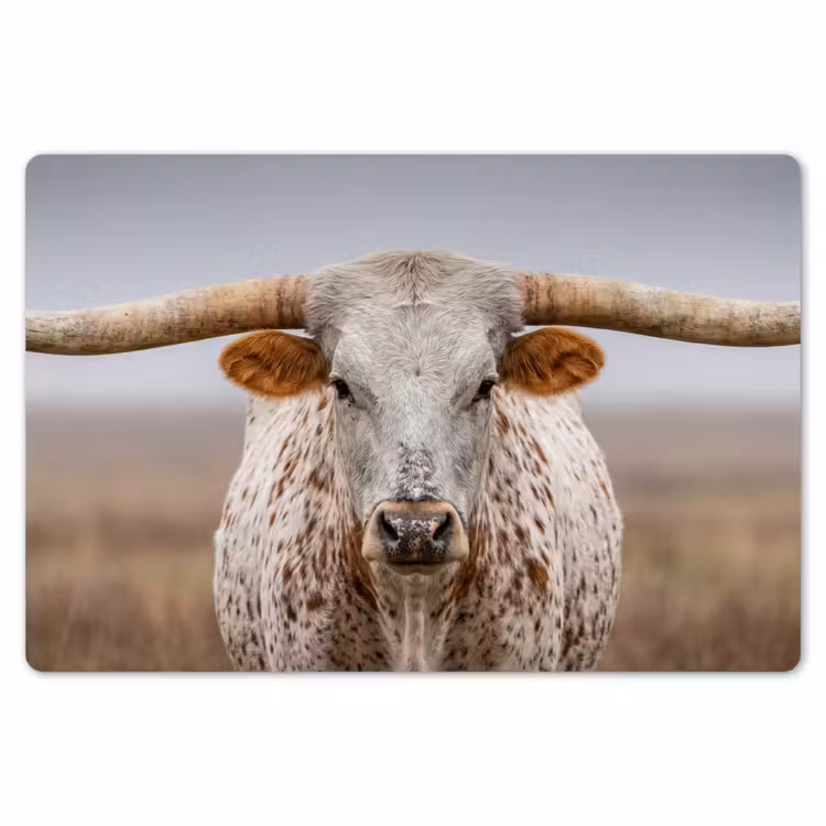 Placemat - 6 stuks - Longhorn - Grasveld - Dier — 7