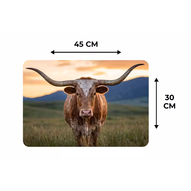 Placemat - 6 stuks - Longhorn - Landschap - Zonsondergang — 3