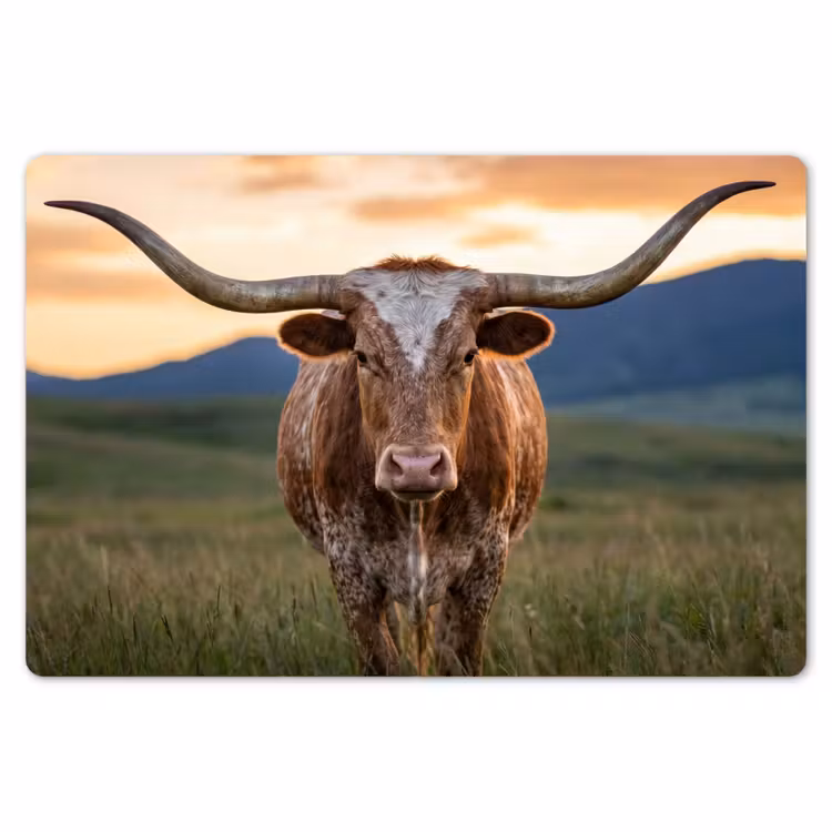 Placemat - 6 stuks - Longhorn - Landschap - Zonsondergang — 7
