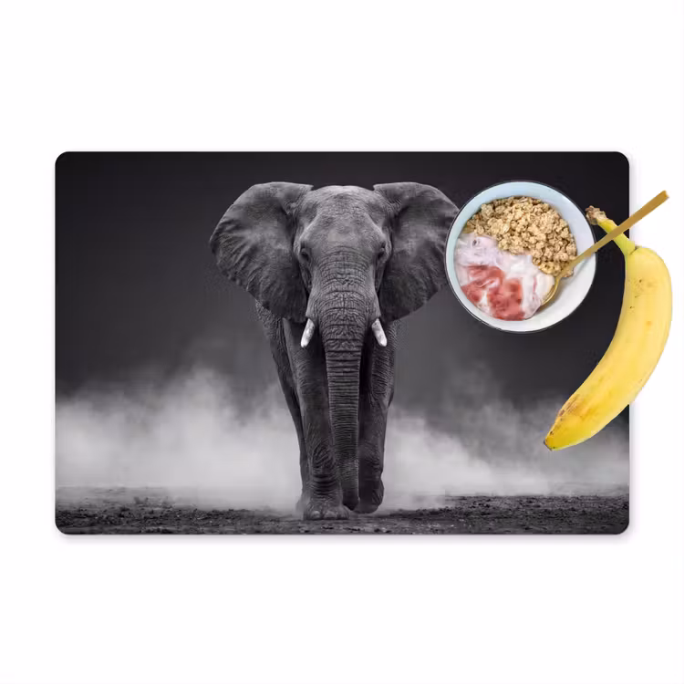 Placemat - 6 stuks - Olifant - Zwart - Wit - Rook — 1