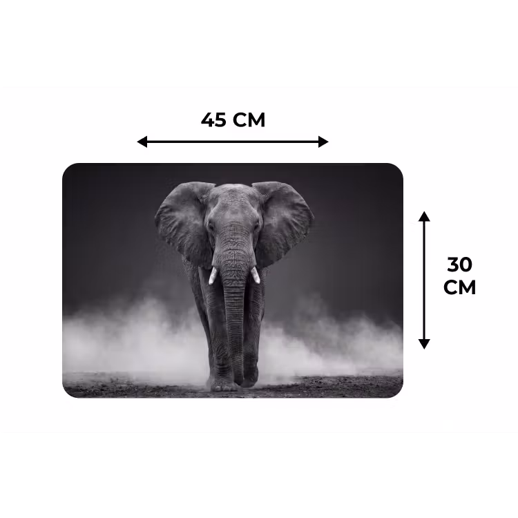Placemat - 6 stuks - Olifant - Zwart - Wit - Rook — 3