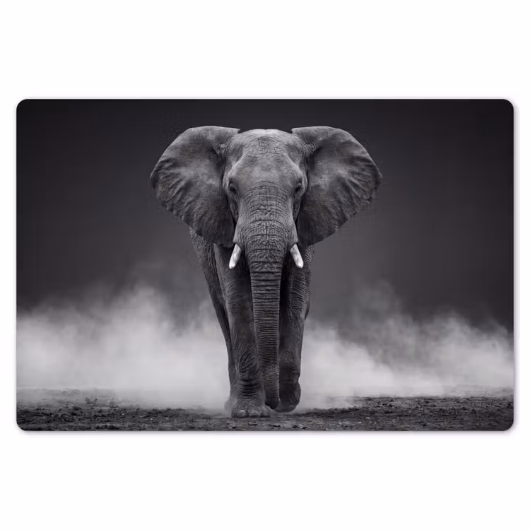 Placemat - 6 stuks - Olifant - Zwart - Wit - Rook — 7