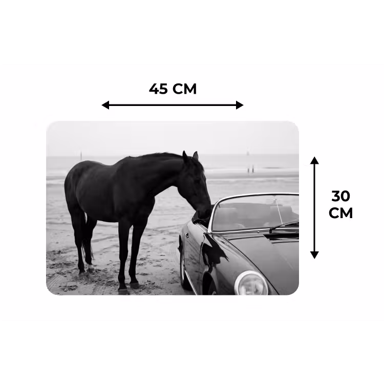 Placemat - 6 stuks - Paard - Auto - Zwart - Wit — 3