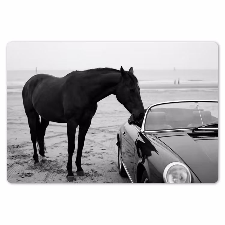 Placemat - 6 stuks - Paard - Auto - Zwart - Wit — 7