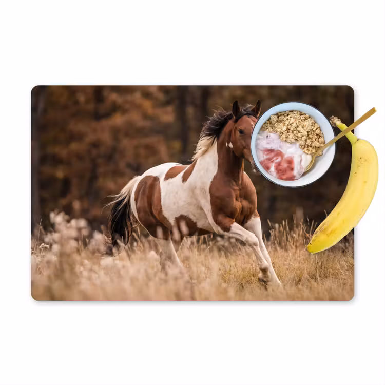 Placemat - 6 stuks - Paard - Bruin - Gras — 1