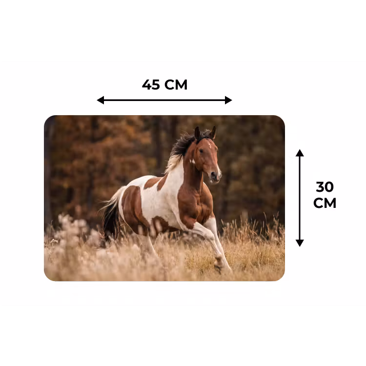 Placemat - 6 stuks - Paard - Bruin - Gras — 3