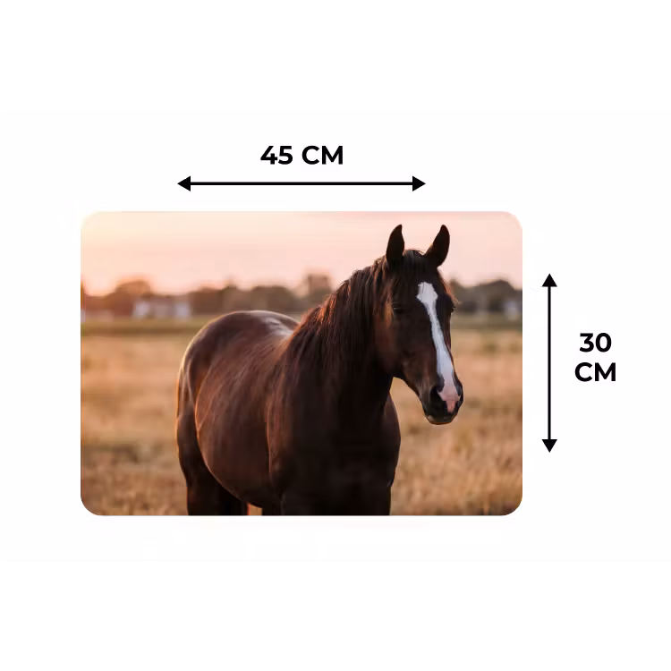 Placemat - 6 stuks - Paard - Zonsondergang - Bruin — 3