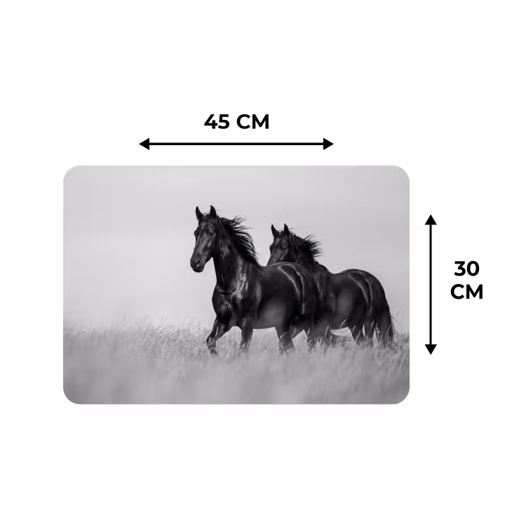 Placemat - 6 stuks - Paarden - Gras - Zwart - Wit — 3