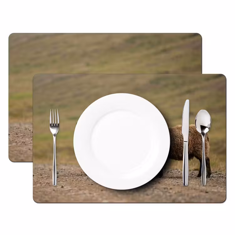 Placemat - 6 stuks - Schapen - Bruin - Wit - Grindpad — 2