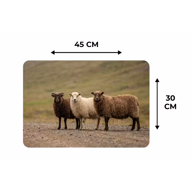 Placemat - 6 stuks - Schapen - Bruin - Wit - Grindpad — 3