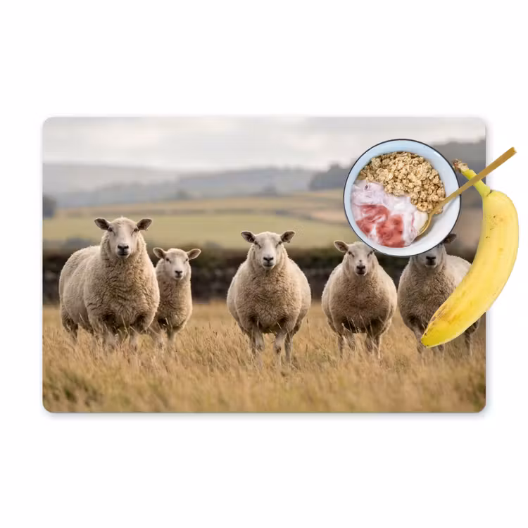 Placemat - 6 stuks - Schapen - Weidenlandschap - Heuvels — 1