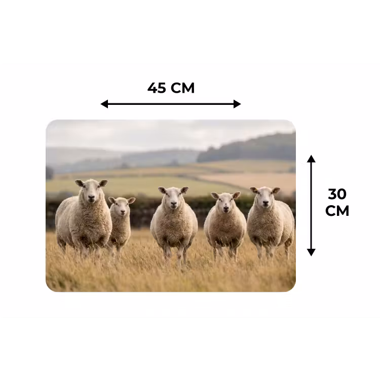 Placemat - 6 stuks - Schapen - Weidenlandschap - Heuvels — 3