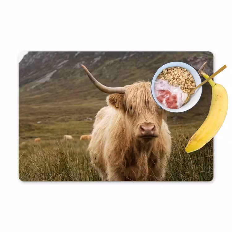 Placemat - 6 stuks - Schotse hooglander - Bergen - Grasveld — 1