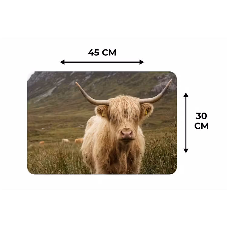 Placemat - 6 stuks - Schotse hooglander - Bergen - Grasveld — 3