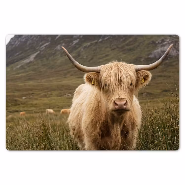 Placemat - 6 stuks - Schotse hooglander - Bergen - Grasveld — 7
