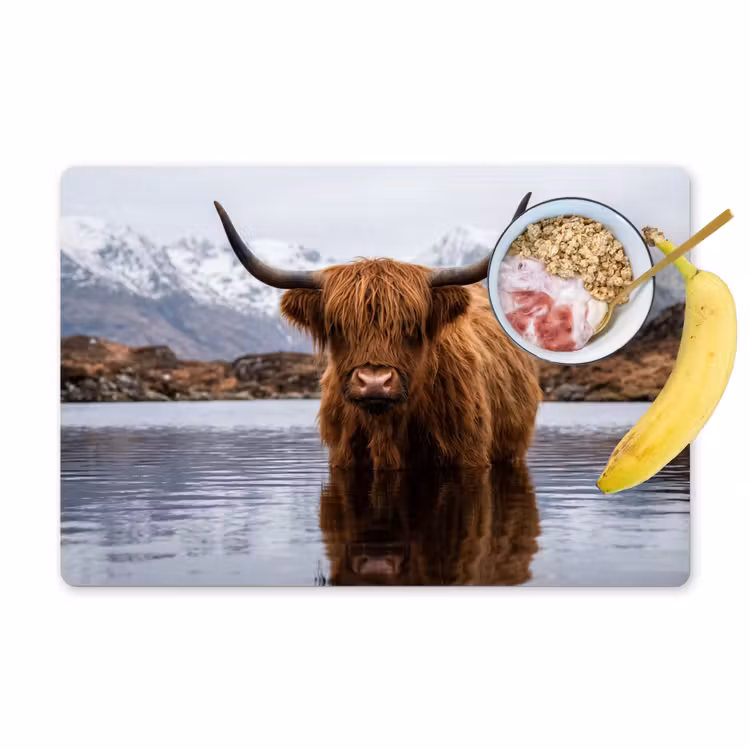 Placemat - 6 stuks - Schotse hooglander - Bruin - Water — 1