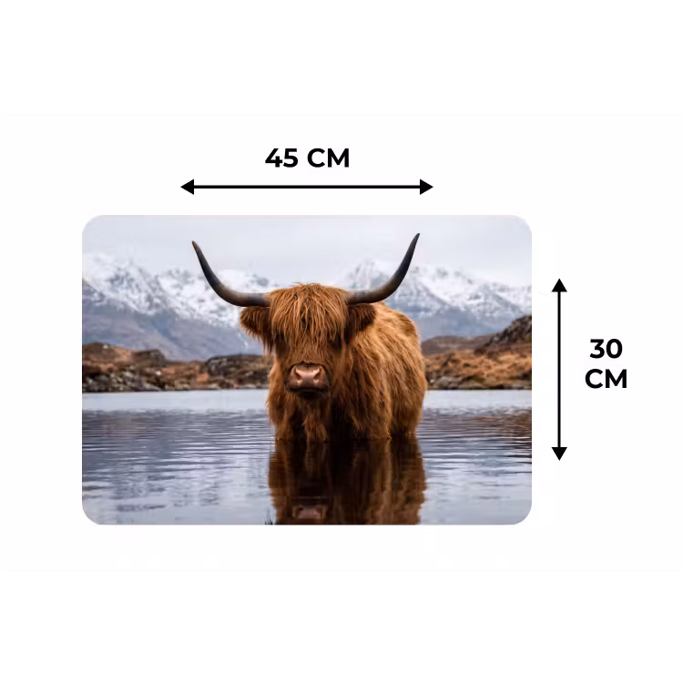 Placemat - 6 stuks - Schotse hooglander - Bruin - Water — 3