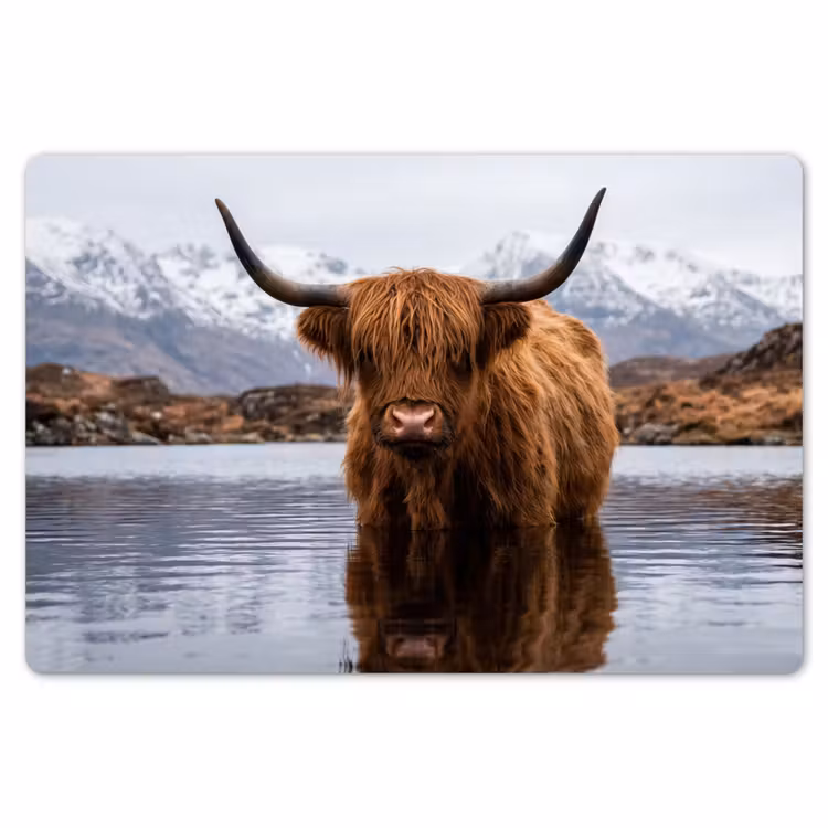 Placemat - 6 stuks - Schotse hooglander - Bruin - Water — 7