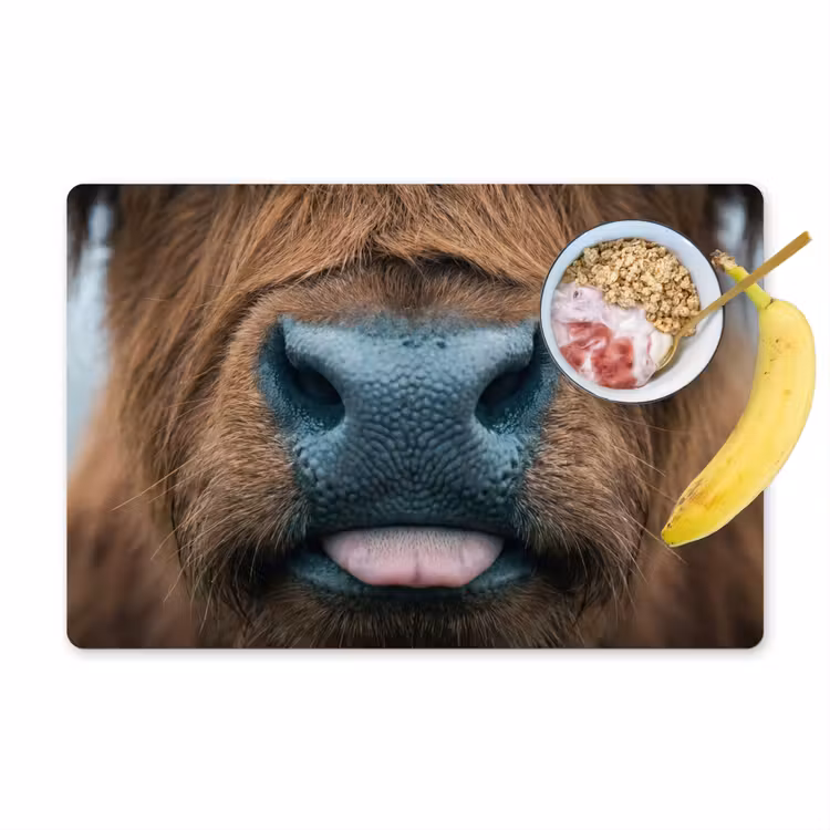 Placemat - 6 stuks - Schotse hooglander - Neus - Bruin — 1