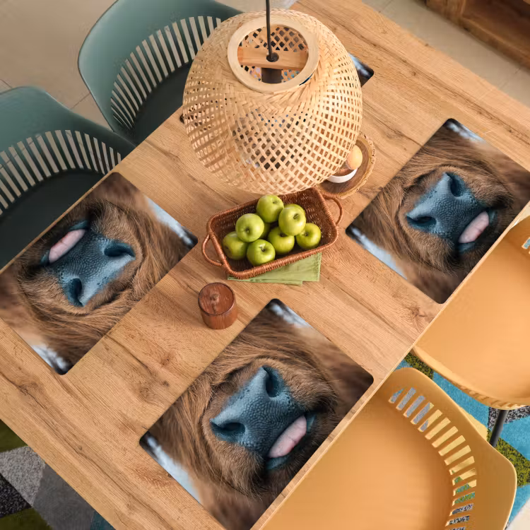 Placemat - 6 stuks - Schotse hooglander - Neus - Bruin — 6