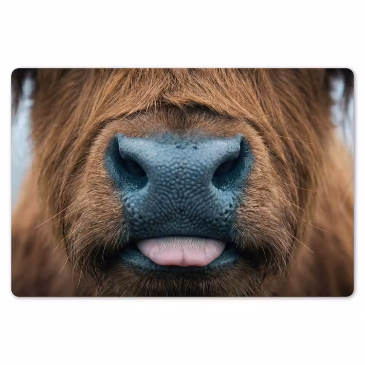 Placemat - 6 stuks - Schotse hooglander - Neus - Bruin — 7